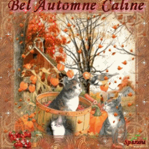 Caline et l'automne